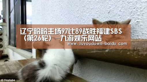 九游体育下载