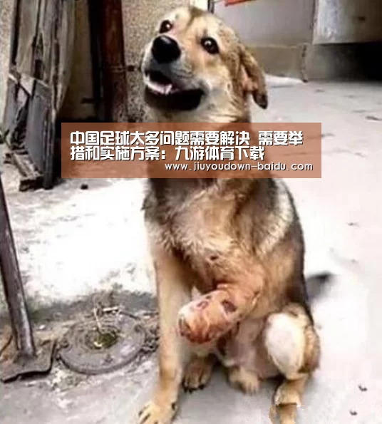九游体育下载