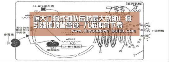 恒大门将成球队后防最大软肋! 将引强援顶替曾诚-九游体育下载(图3) 九游平台app下载